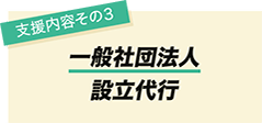 支援内容その3　一般社団法人設立代行