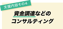 支援内容その4　資金調達などのコンサルティング