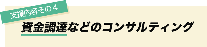 支援内容その4　資金調達などのコンサルティング